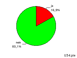 pie chart Besitz einer Homepage UserInnen