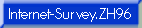 Internet-Survey.ZH96 Homepage
